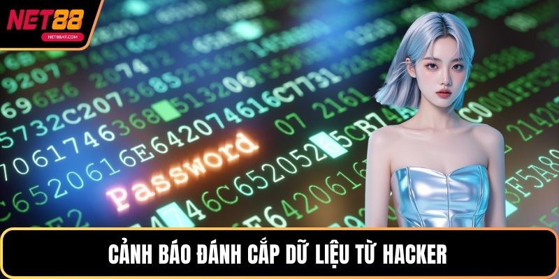 Cảnh báo đánh cắp dữ liệu từ hacker 