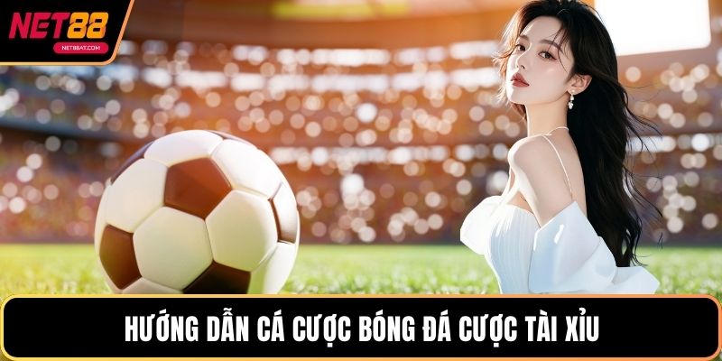 Hướng Dẫn Cá Cược Bóng Đá cược tài xỉu