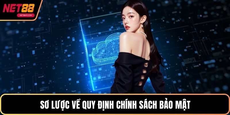 Sơ lược về quy định Chính sách bảo mật